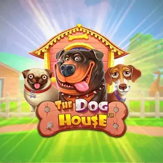 The Dog House – play at SpinBetter